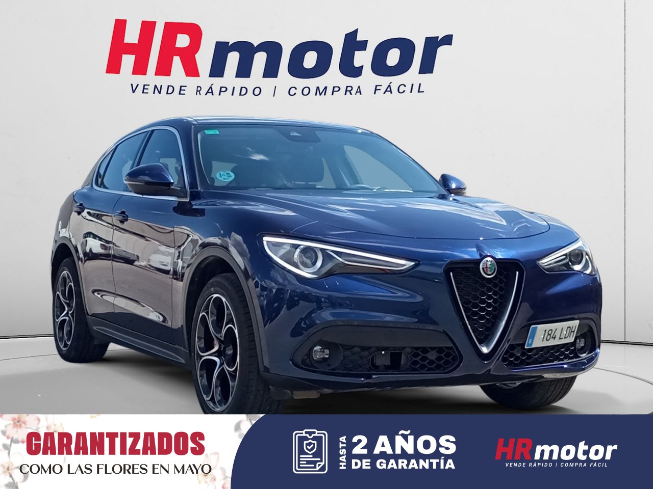 Foto alfa romeo stelvio 2019 /