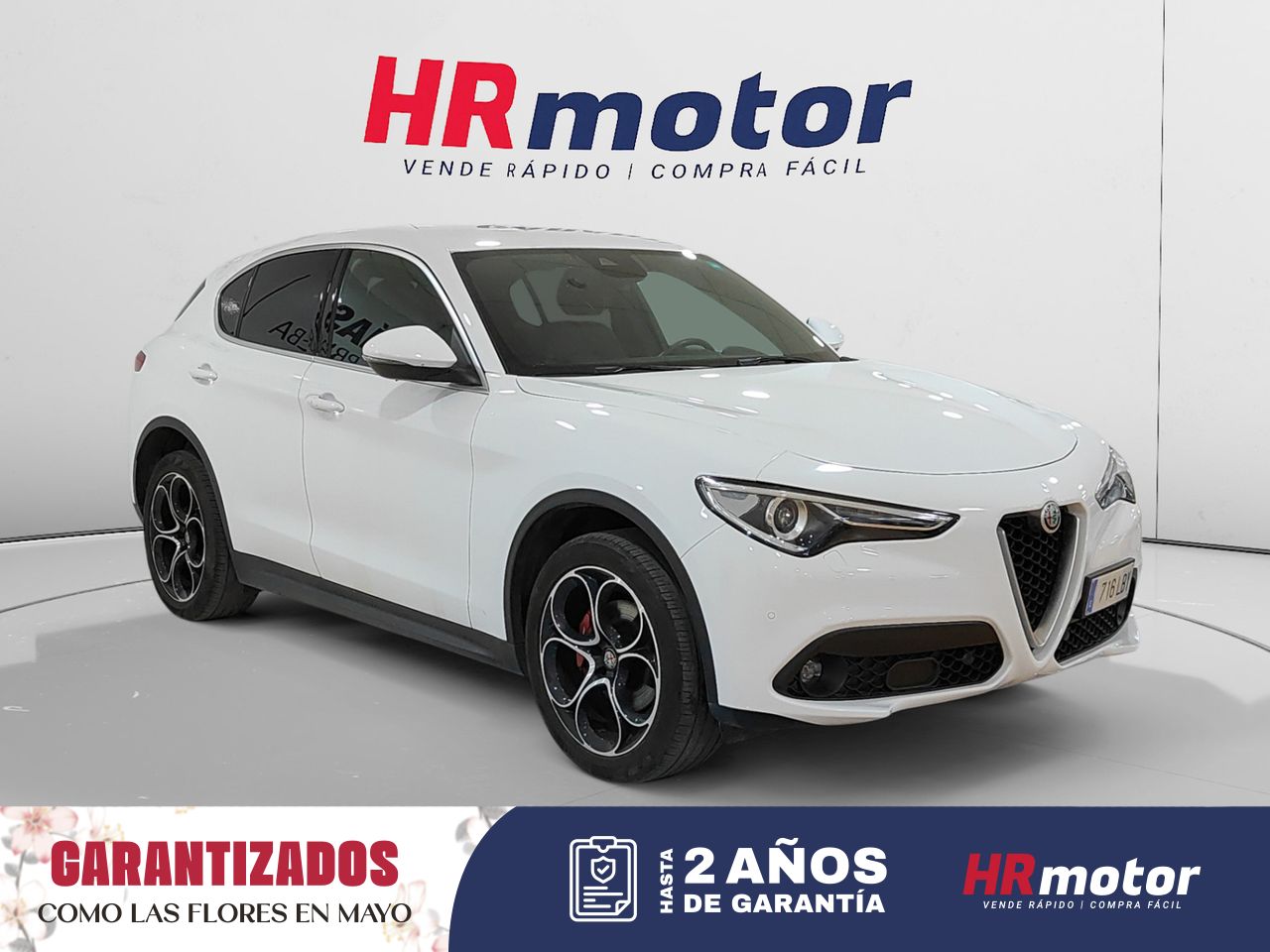 Foto alfa romeo stelvio 2019 /