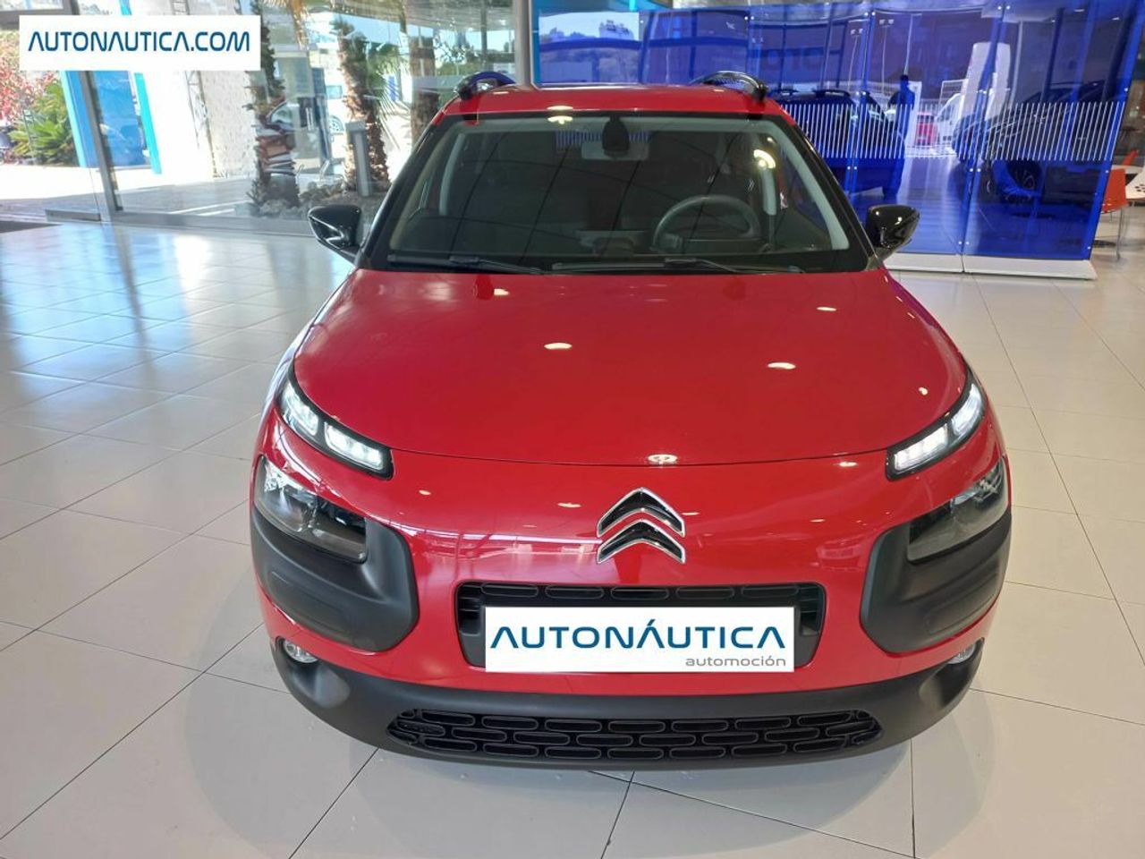 citroën c4 cactus 2016 / foto grande (3)