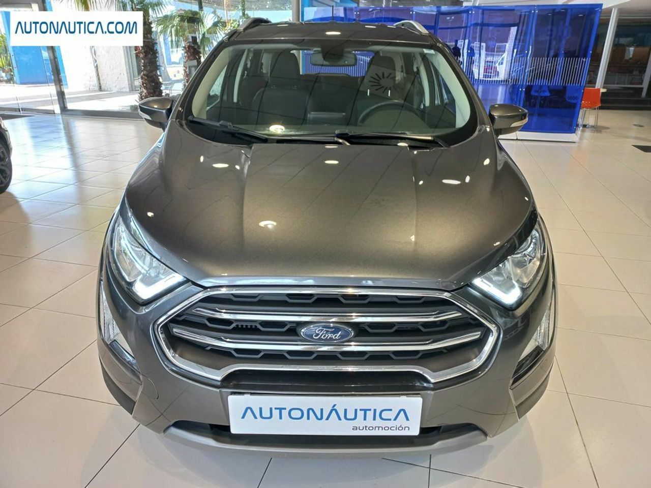 ford ecosport 2018 / foto grande (3)