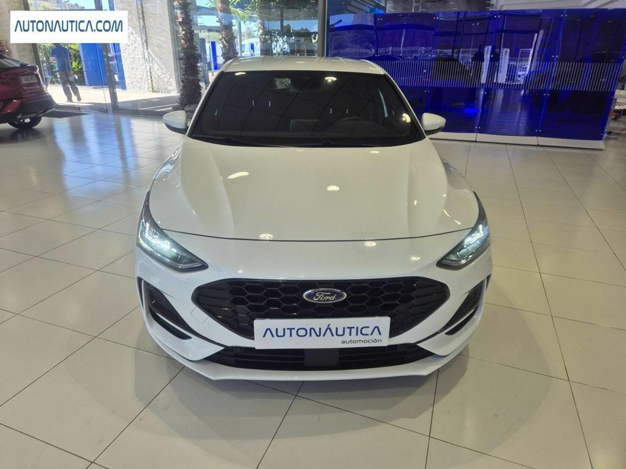 ford focus 2022 / foto grande (3)