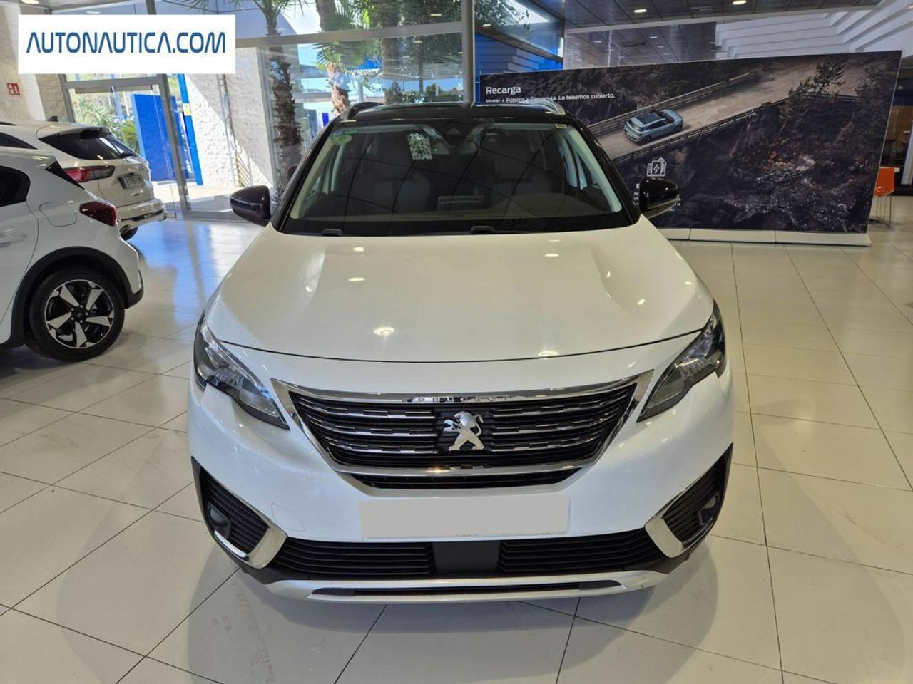 peugeot 5008 2019 / foto grande (3)