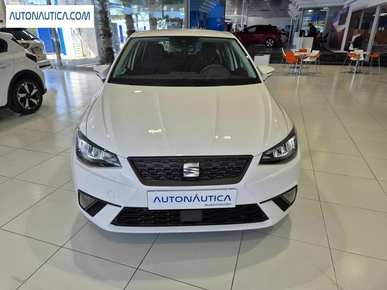 seat ibiza 2024 / foto grande (3)