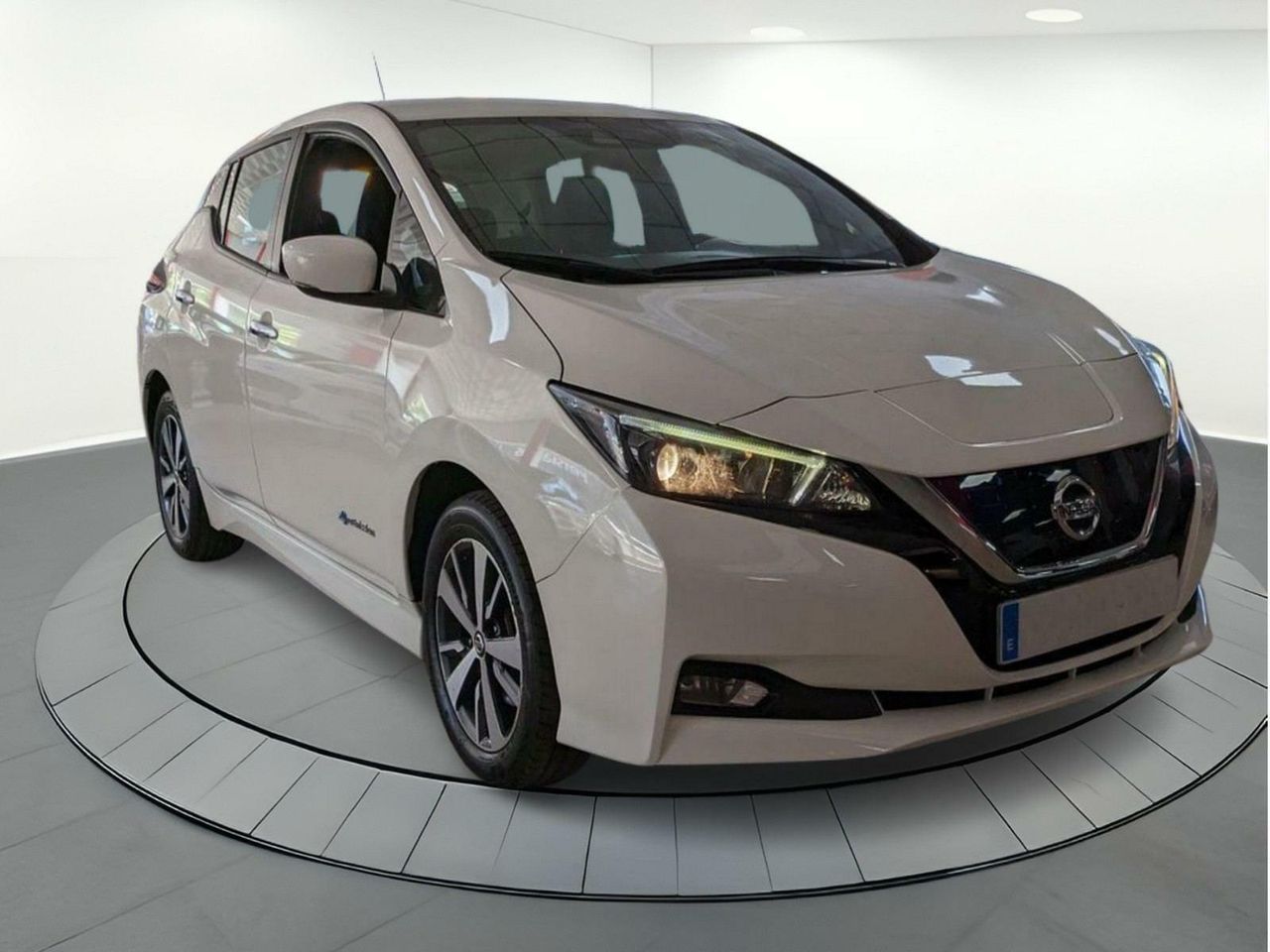 nissan leaf 2020 /