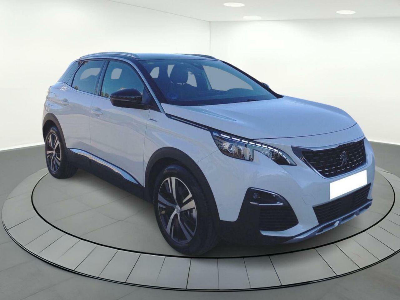 peugeot 3008 2020 / foto grande (2)
