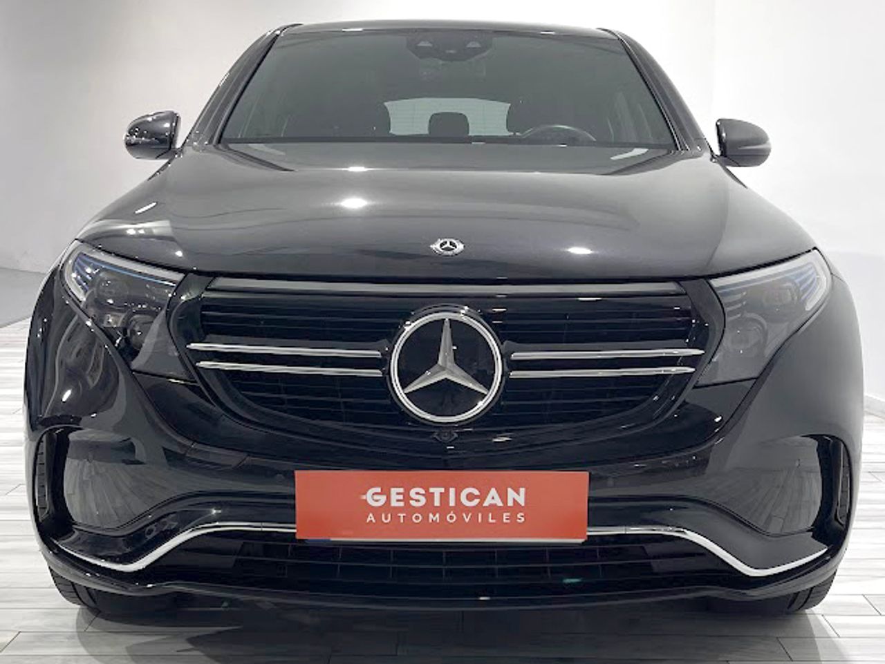 mercedes eqc 2021 / foto grande (3)