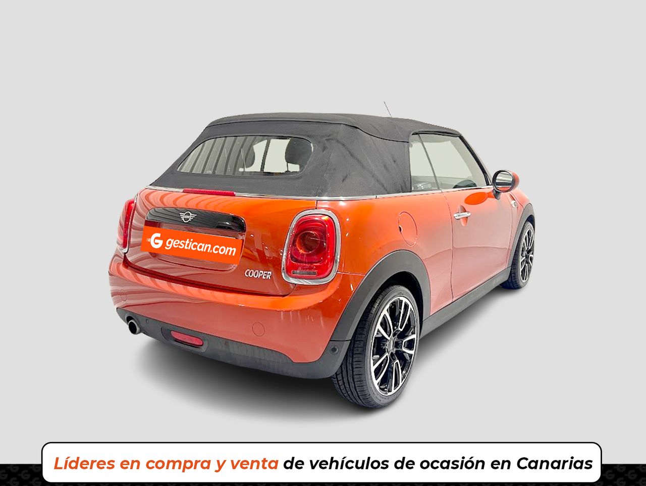 mini mini 2018 / foto grande (3)