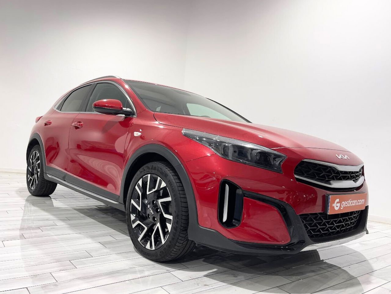 kia xceed 2024 / foto grande (2)