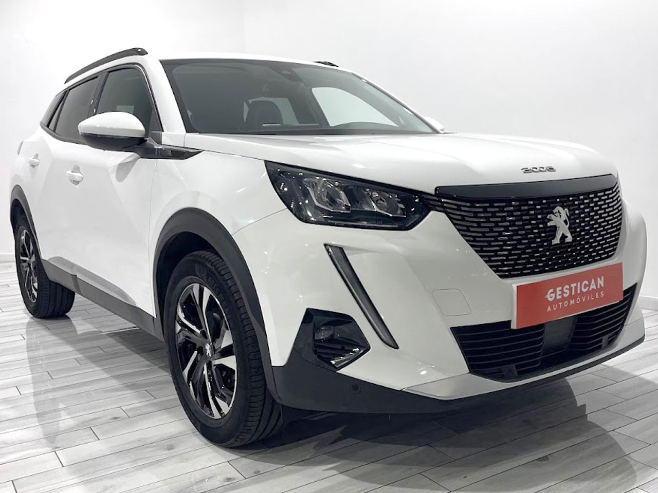 peugeot 2008 2021 / foto grande (2)