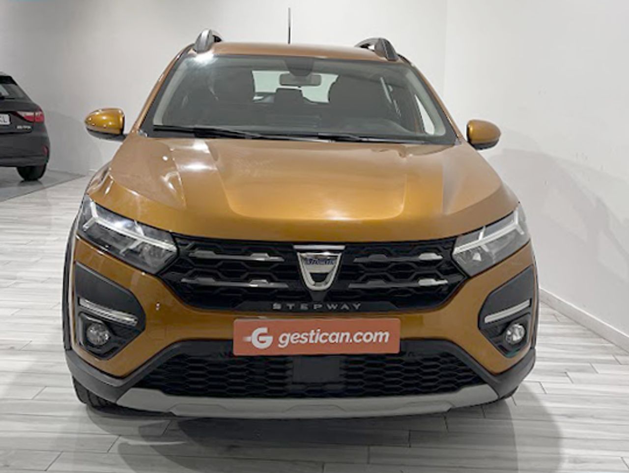 dacia sandero 2022 / foto grande (3)