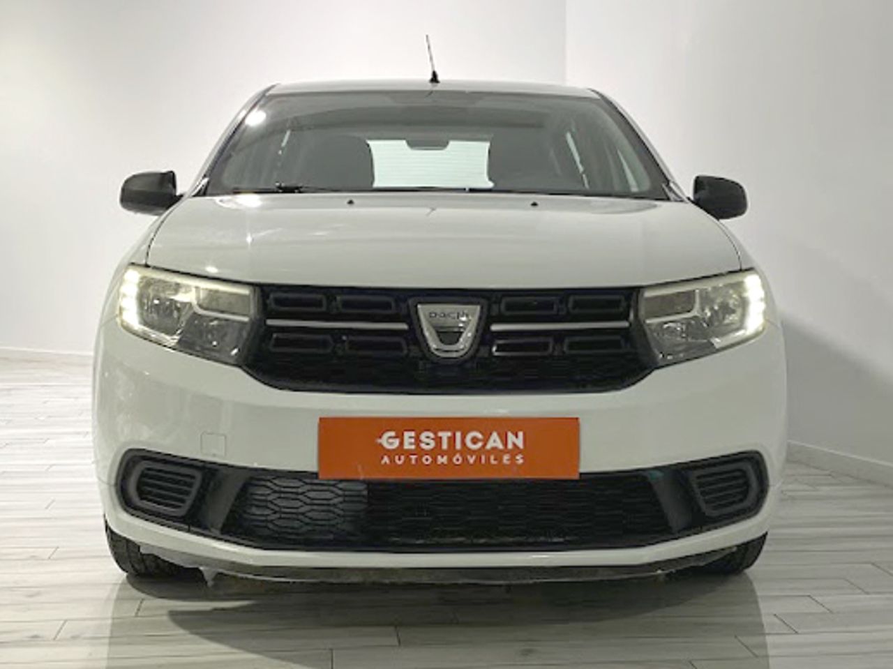 dacia sandero 2019 / foto grande (3)
