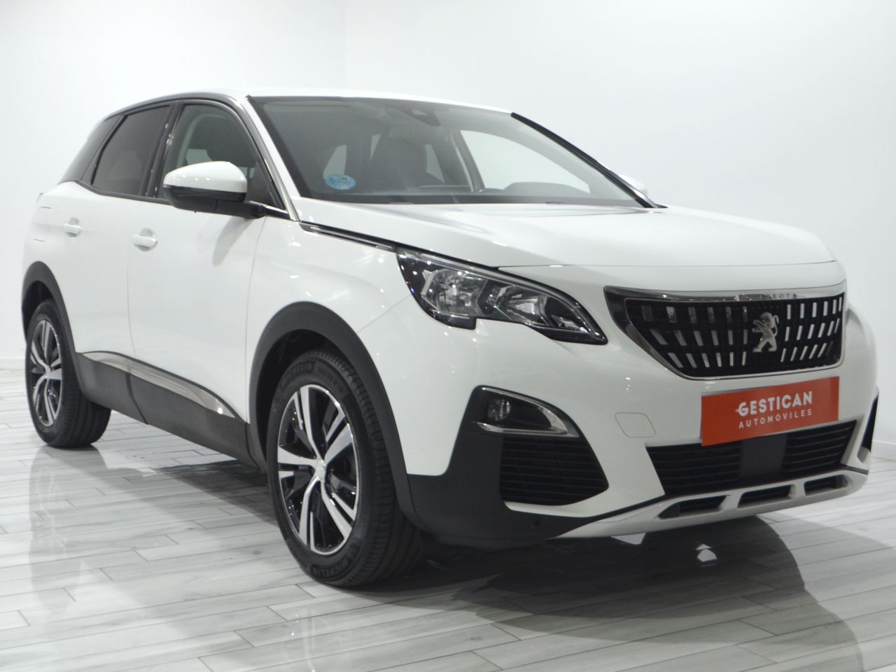 peugeot 3008 2019 / foto grande (2)