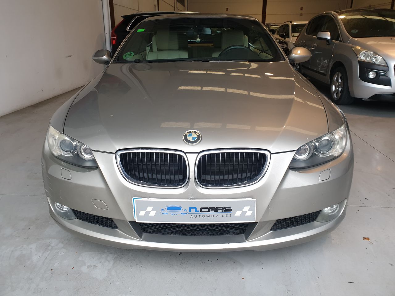 bmw serie 3 2007 / foto grande (2)