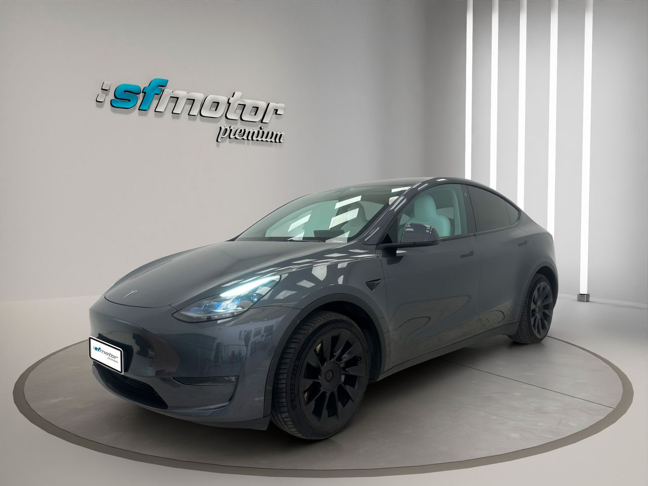 Tesla Model Y Gran Autonomía 4WD - Foto 2