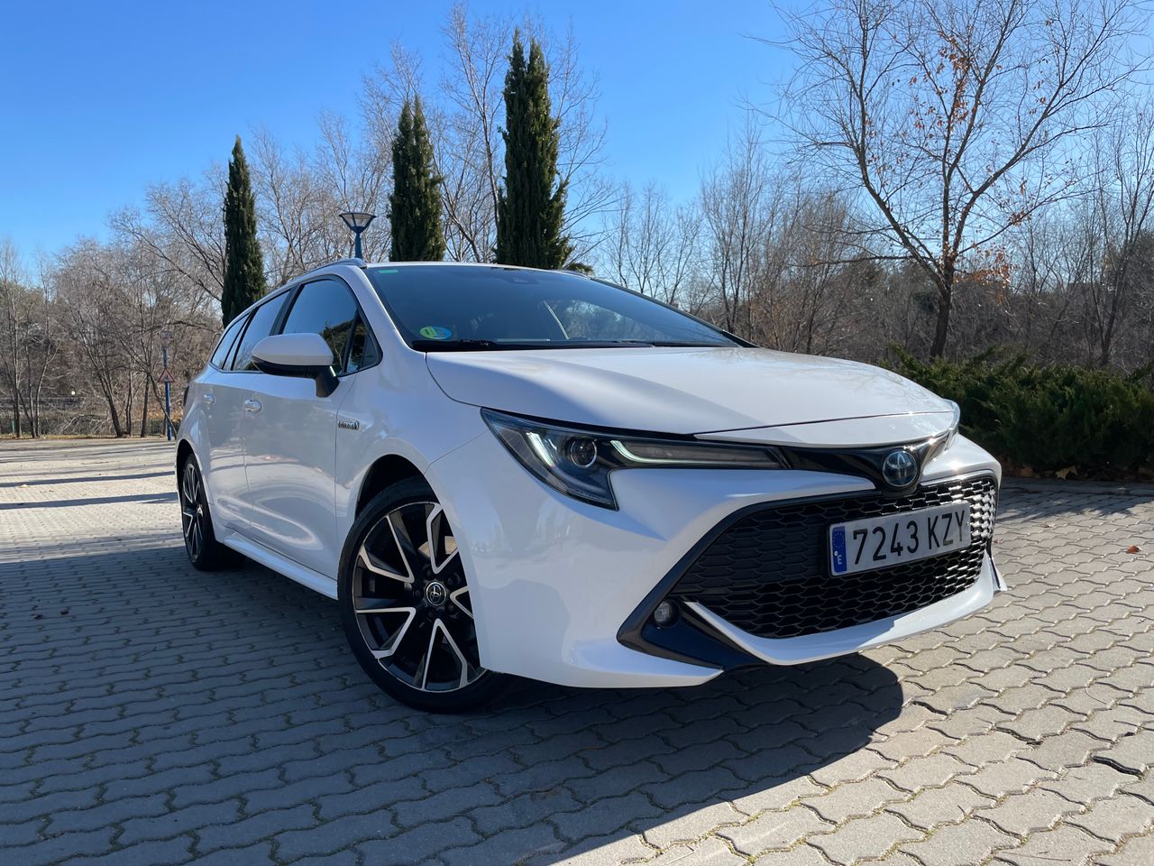 toyota corolla 2019 / foto grande (2)