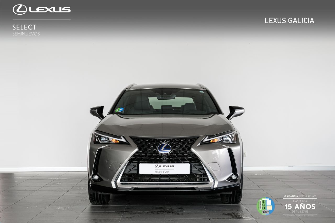 lexus ux 2022 / foto grande (3)