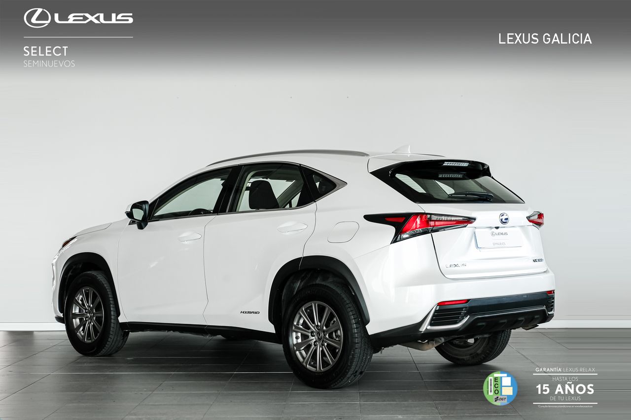 lexus nx 2020 / foto grande (3)