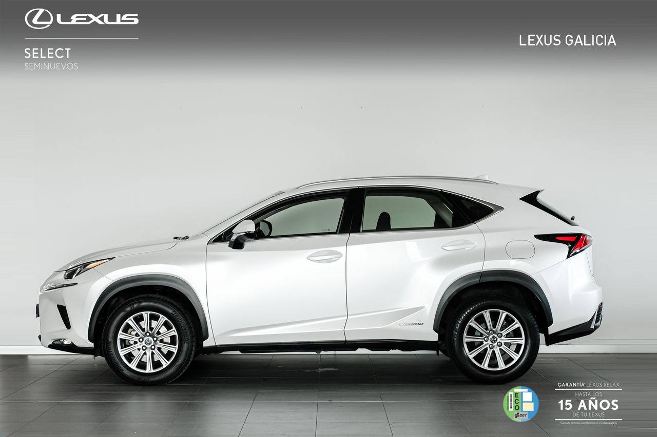lexus nx 2020 / foto grande (2)
