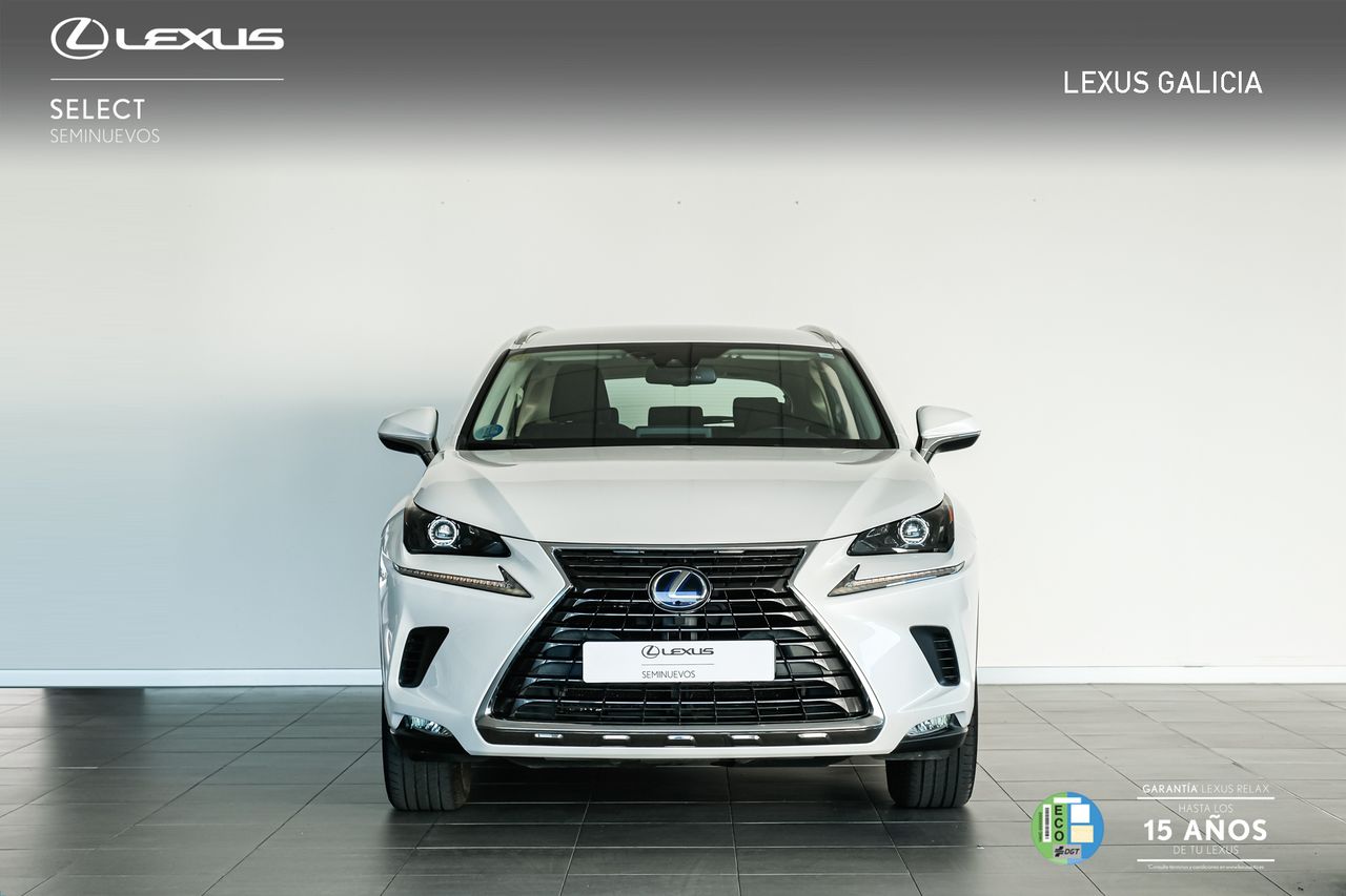 lexus nx 2024 / foto grande (3)