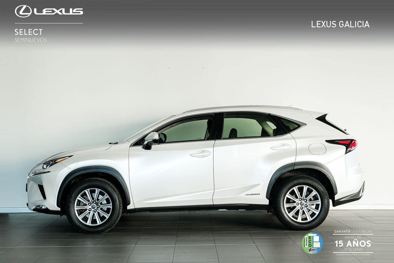 lexus nx 2024 / foto grande (2)