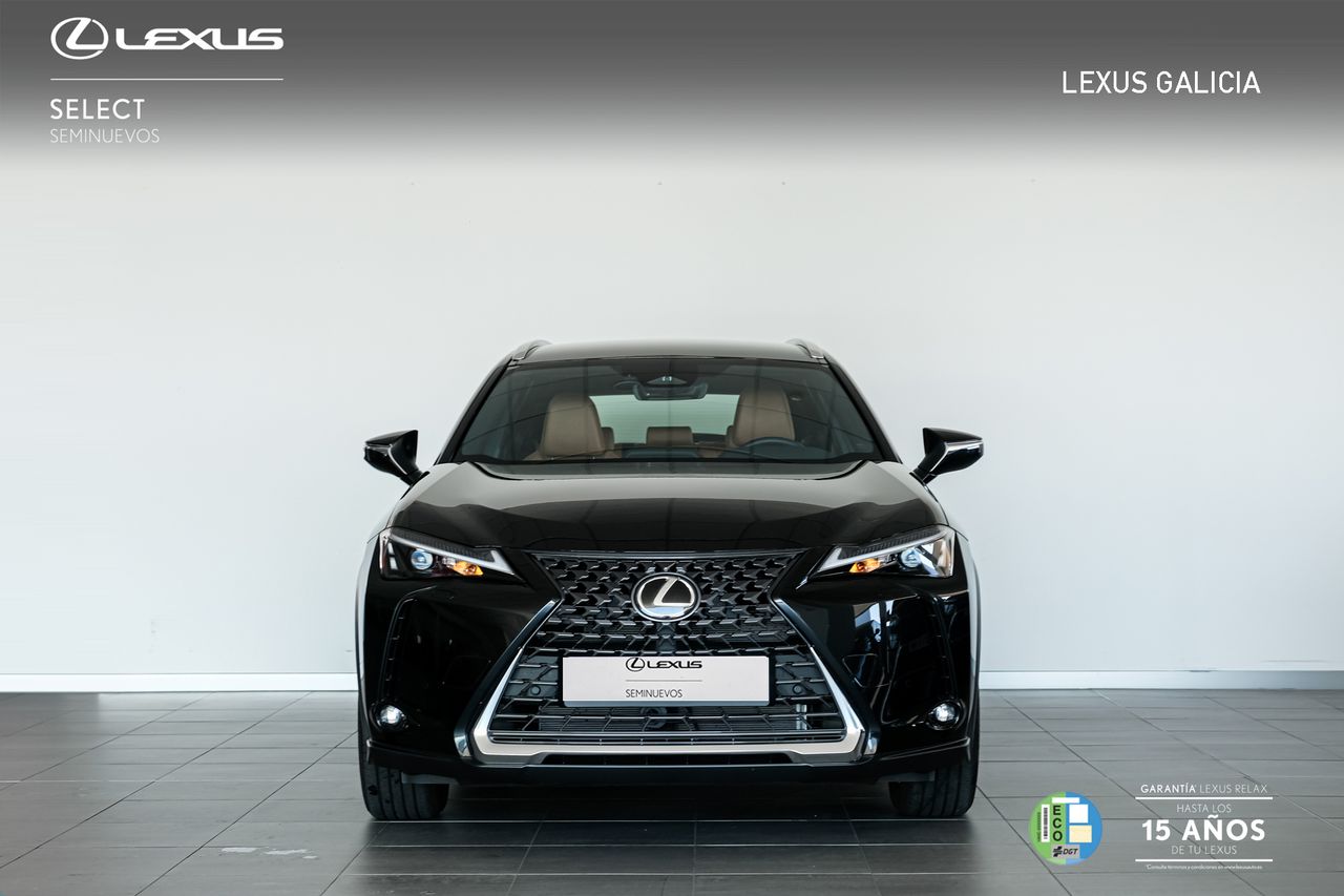 lexus ux 2025 / foto grande (3)