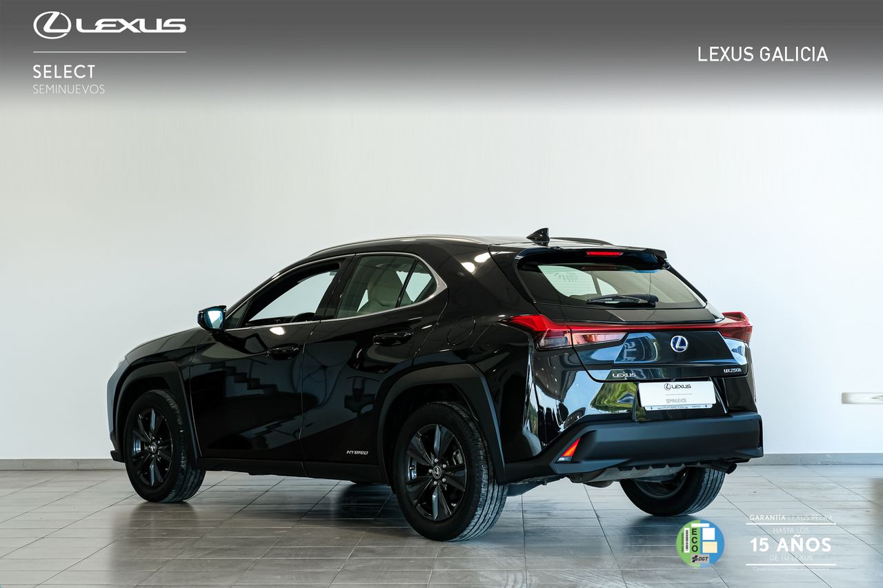 lexus ux 2020 / foto grande (2)