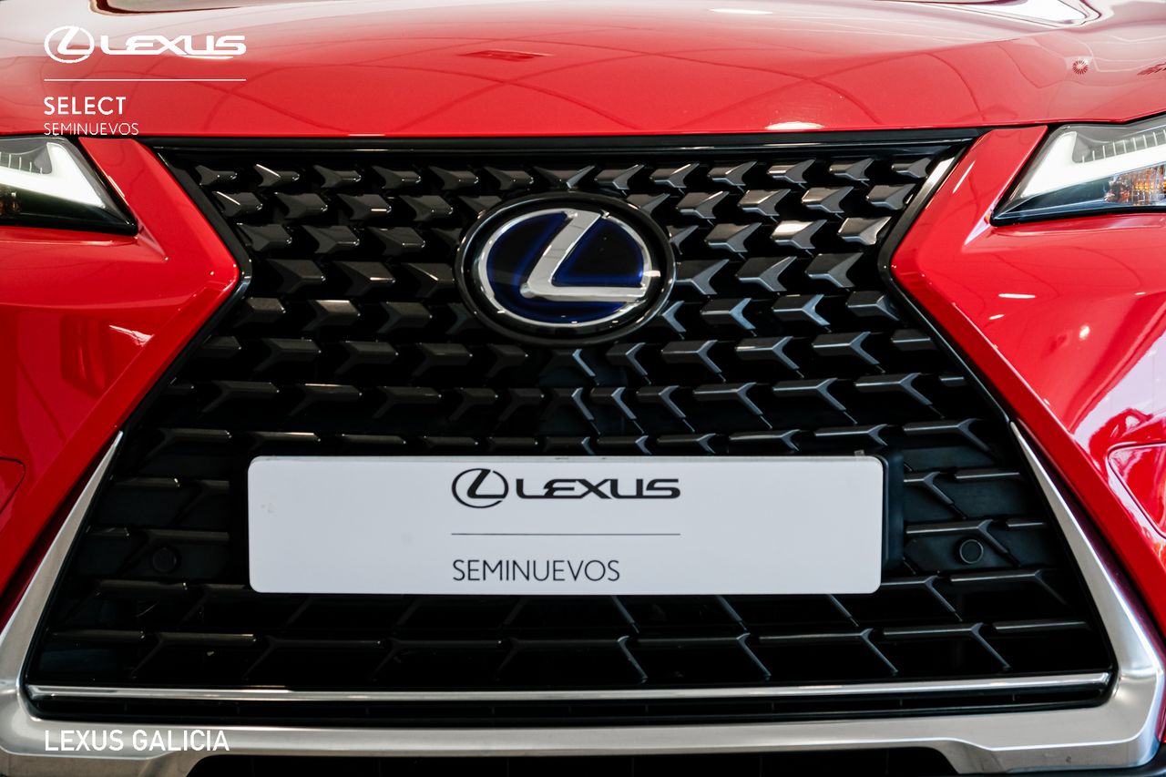 lexus ux 2021 / foto grande (3)