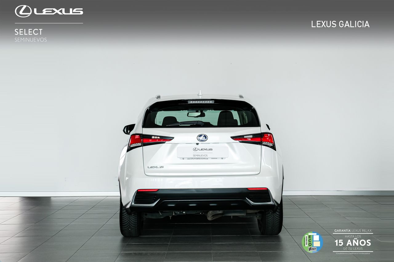 lexus nx 2018 / foto grande (3)