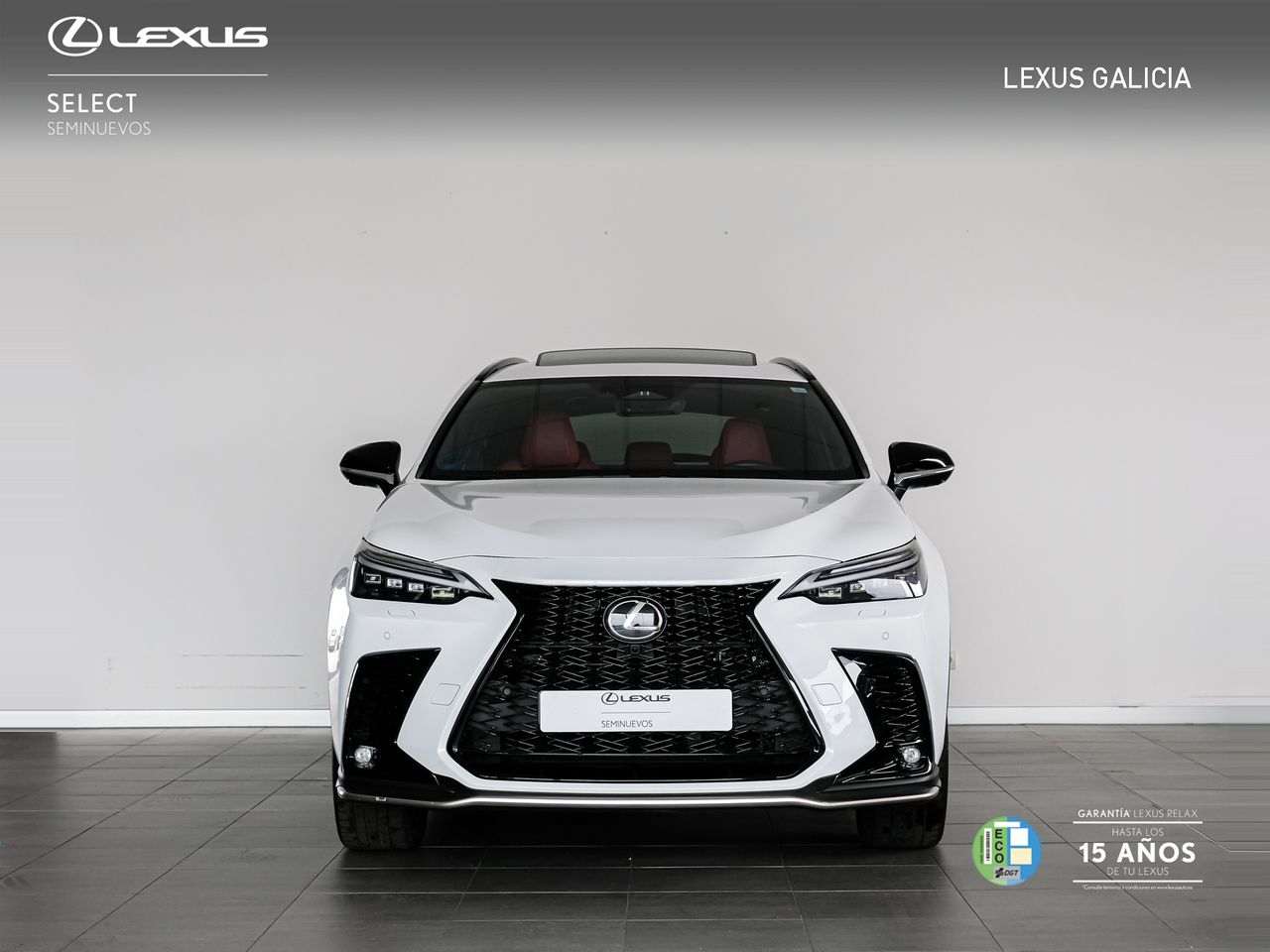 lexus nx 2025 / foto grande (3)