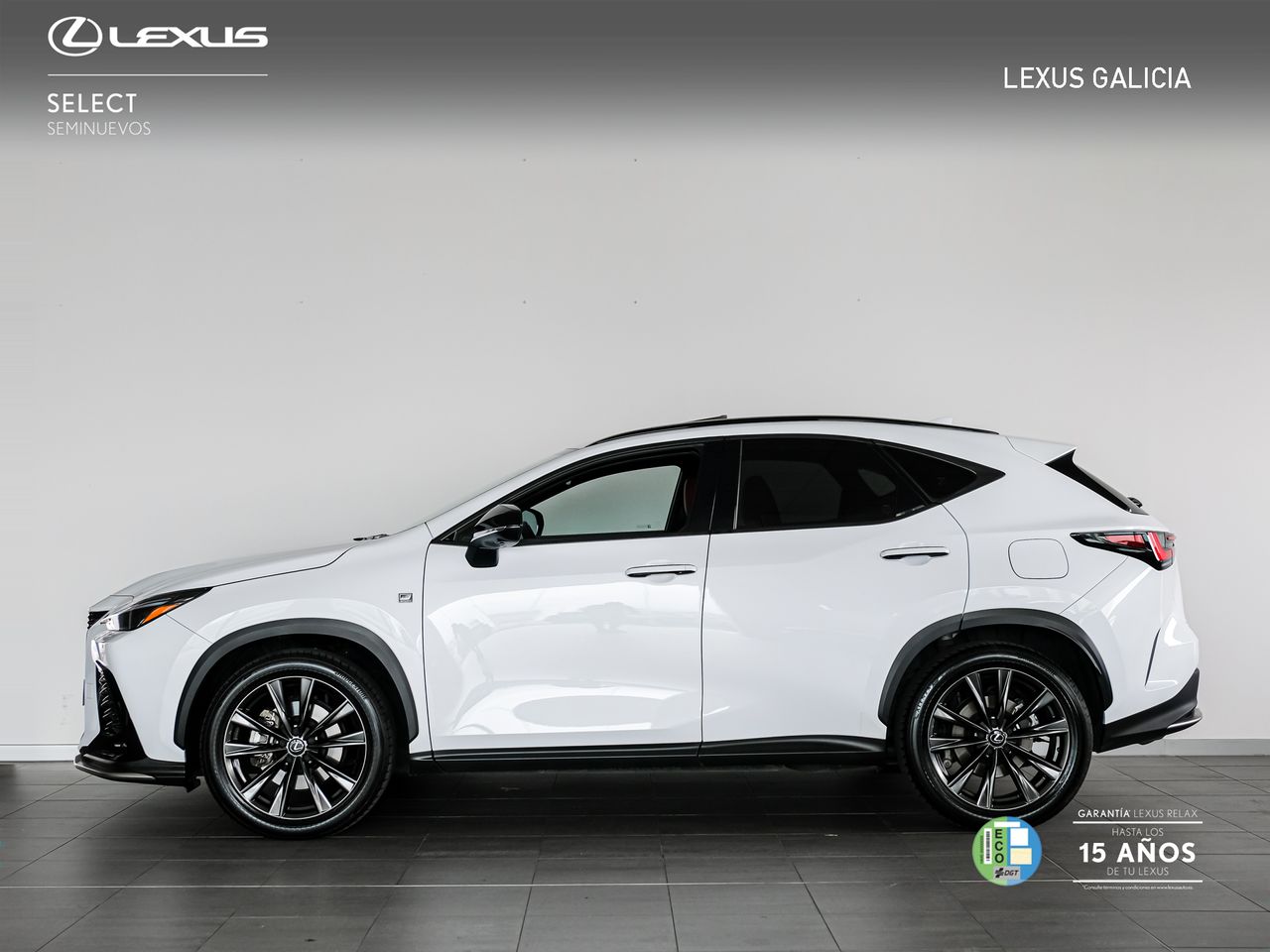 lexus nx 2025 / foto grande (2)