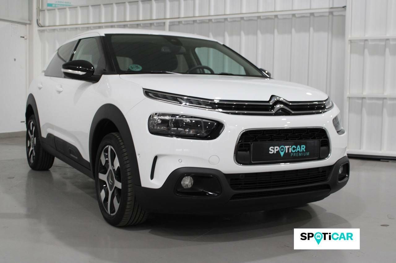 citroën c4 cactus 2019 / foto grande (3)