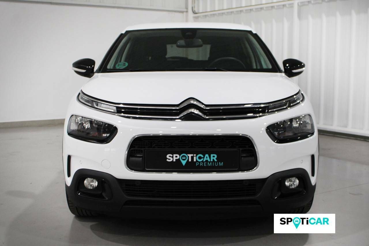 citroën c4 cactus 2019 / foto grande (2)