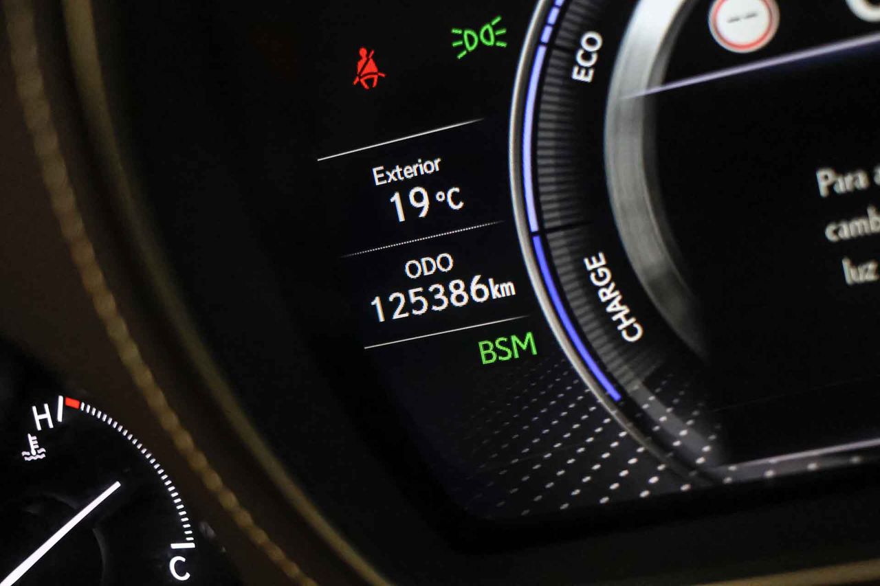 Lexus LS 500h Luxury Art Wood - Foto 7