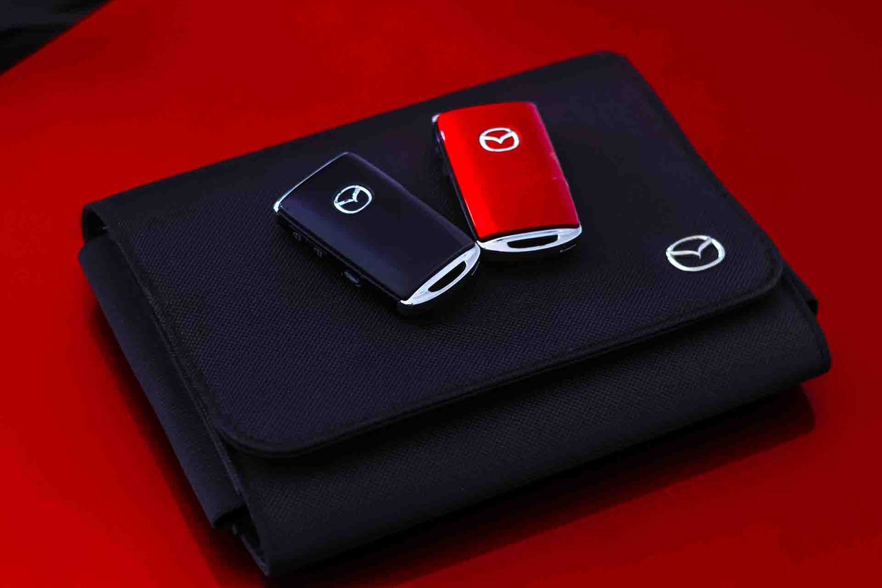 Mazda MX-30 e-SKYACTIVE 105kW Evolution Modern - Foto 77