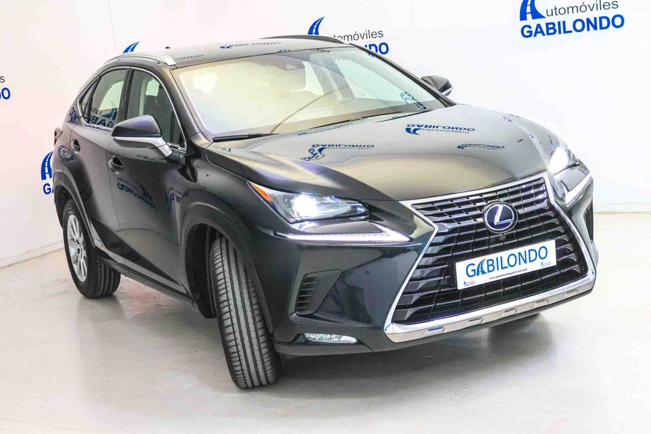 Lexus NX 2.5 300h Business 2WD - Foto 14