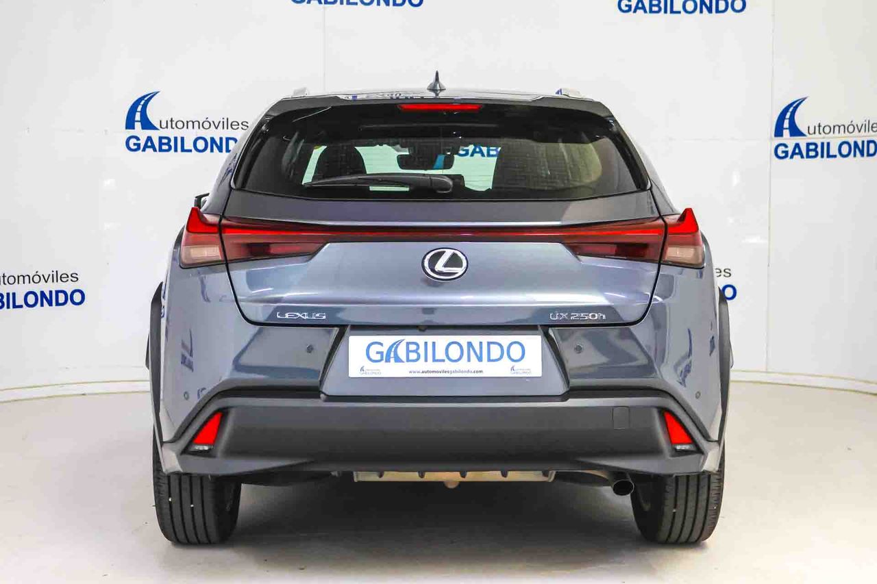 Lexus UX 2.0 250h Business - Foto 5