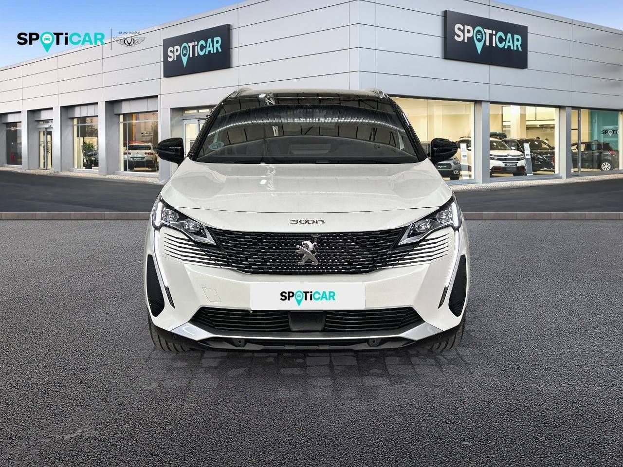peugeot 3008 2021 / foto grande (2)